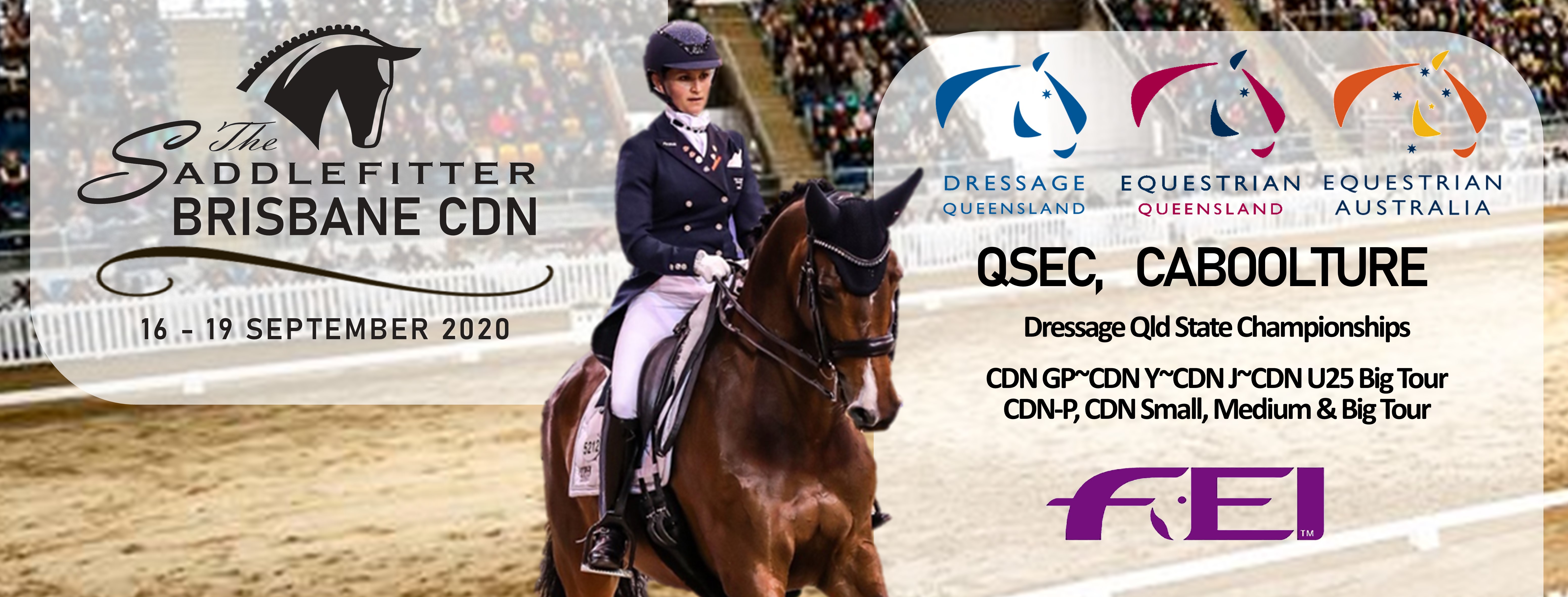 Brisbane CDN & Qld State Dressage Championships | Equestrian Queensland